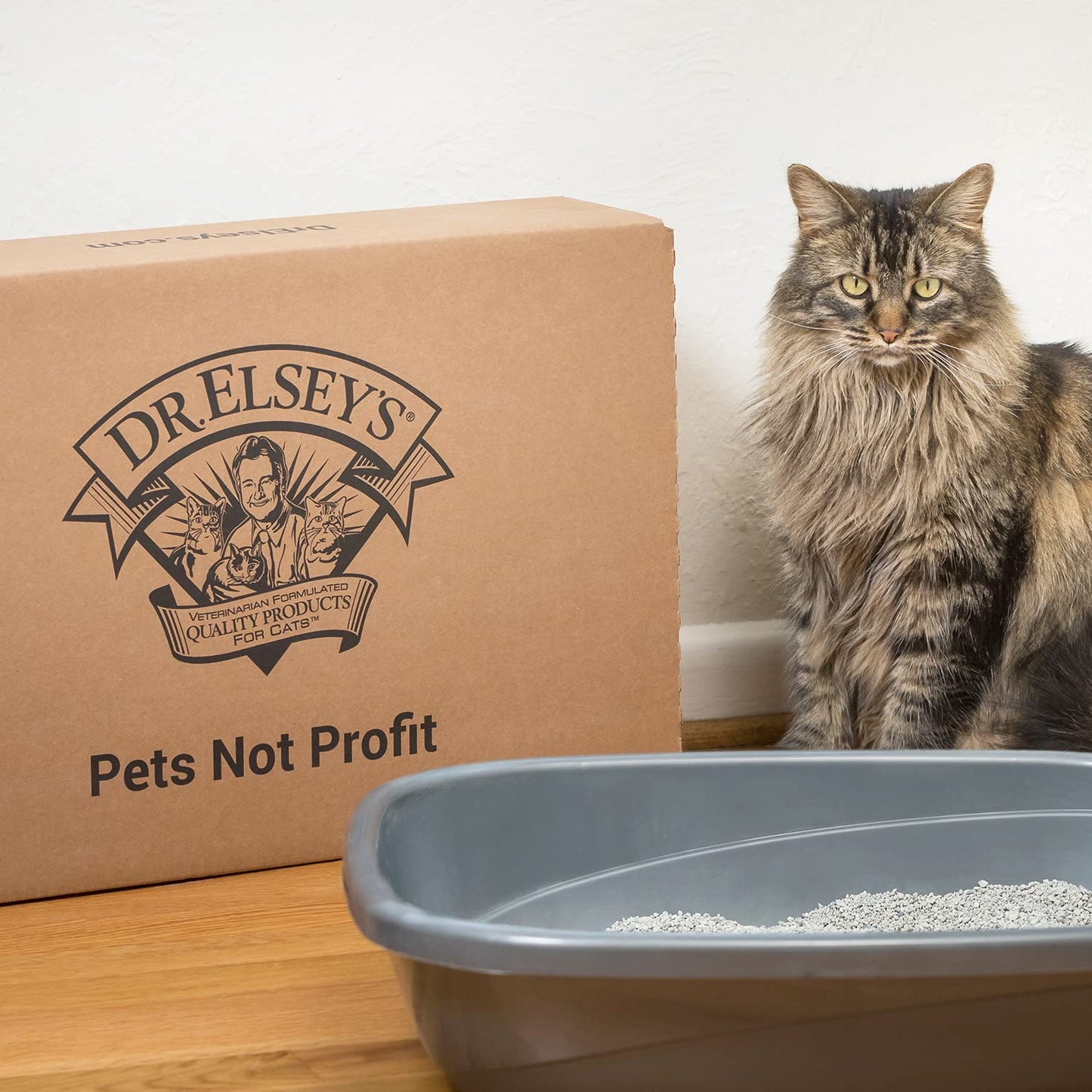 Dr. Elsey's R and R Cat Litter - Low Dust, Low Tracking, Hard Clumping, Superior Scent Control, Unscented and Natural Ingredients - Stress Reducing Kitty Litter, Supports Healthy Breathing Dr. Elsey's