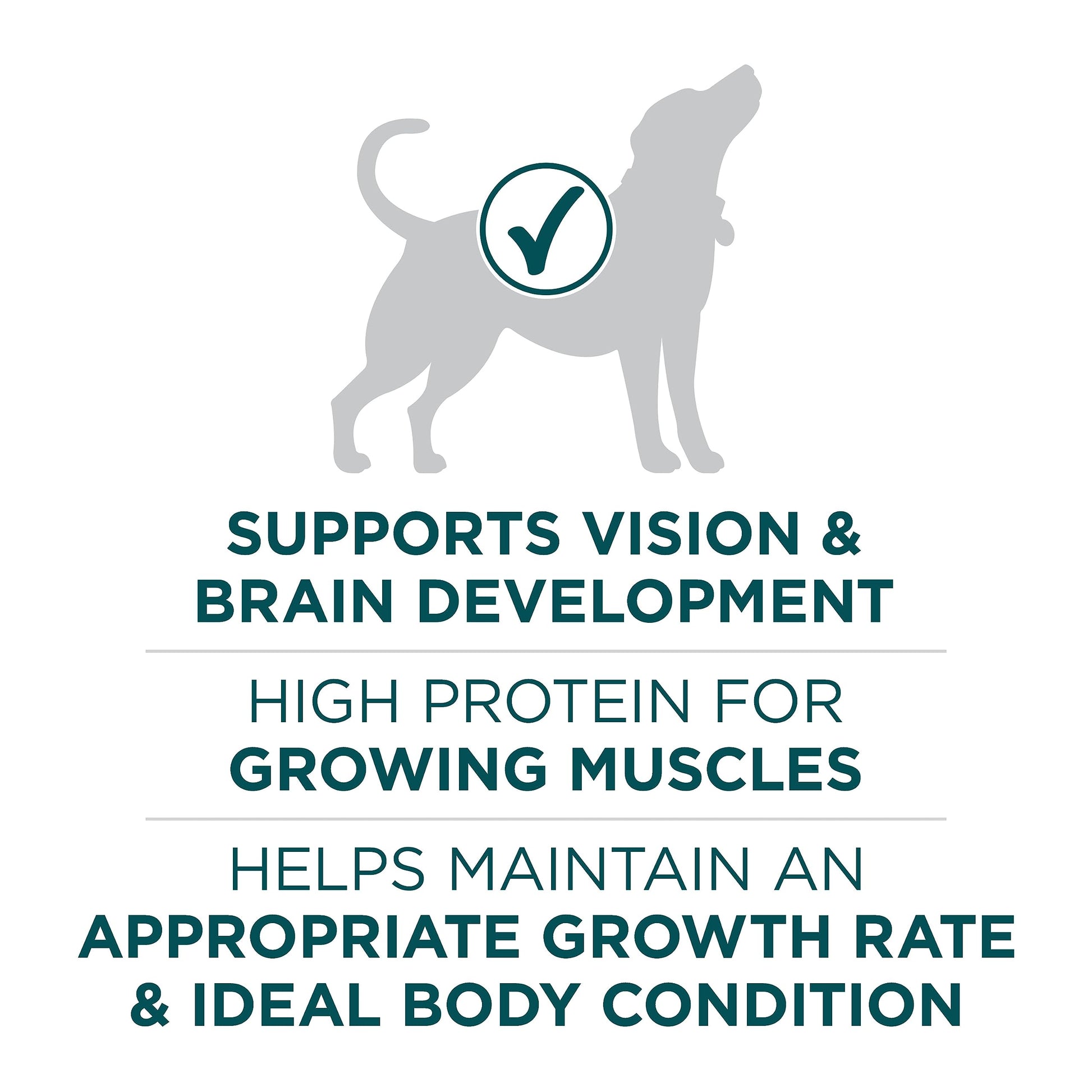 Purina ONE +Plus Large Breed Dry Puppy Food with Chicken - 14 kg Bag - Available at All In One Marketplace Canada