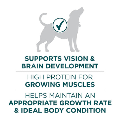 Purina ONE +Plus Large Breed Dry Puppy Food with Chicken - 14 kg Bag - Available at All In One Marketplace Canada