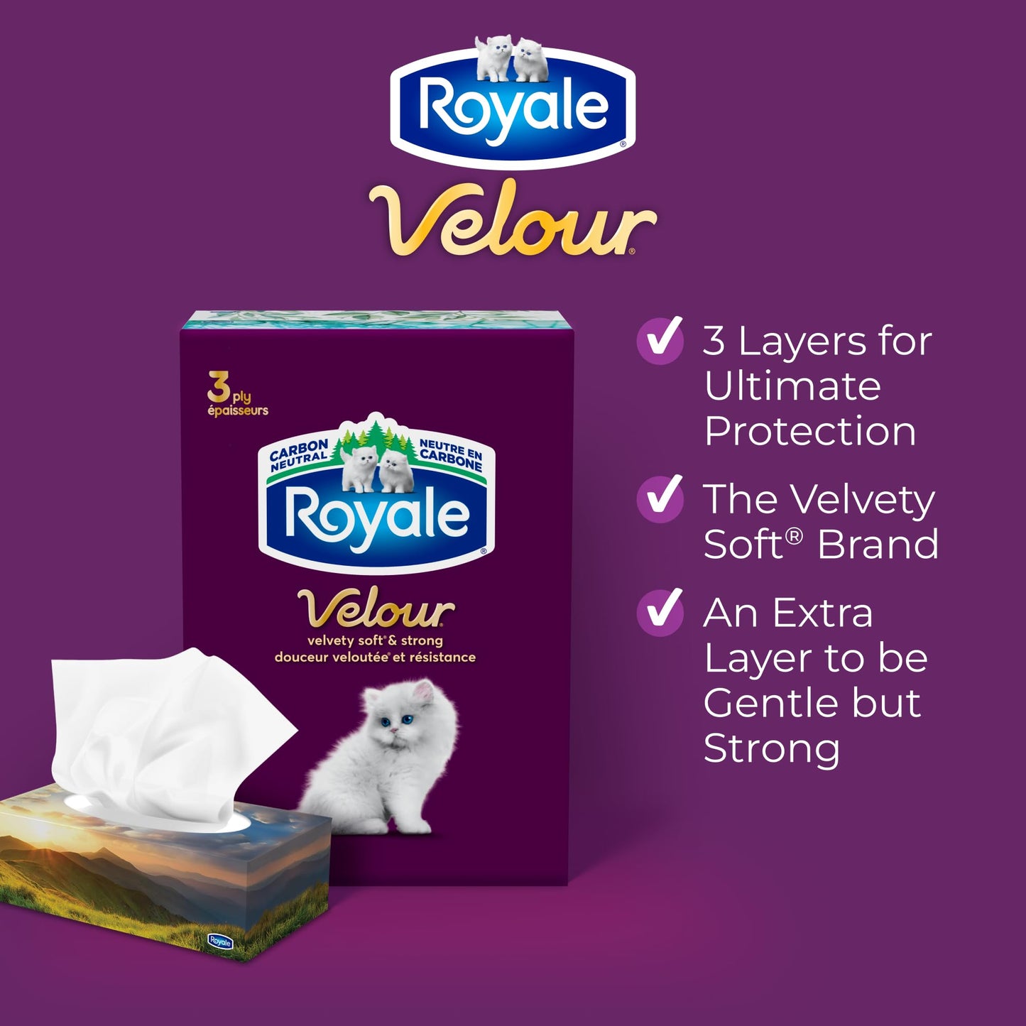 Royale Velour 3 Ply Facial Tissue, 24 Tissue Boxes, 72 Tissues per Box