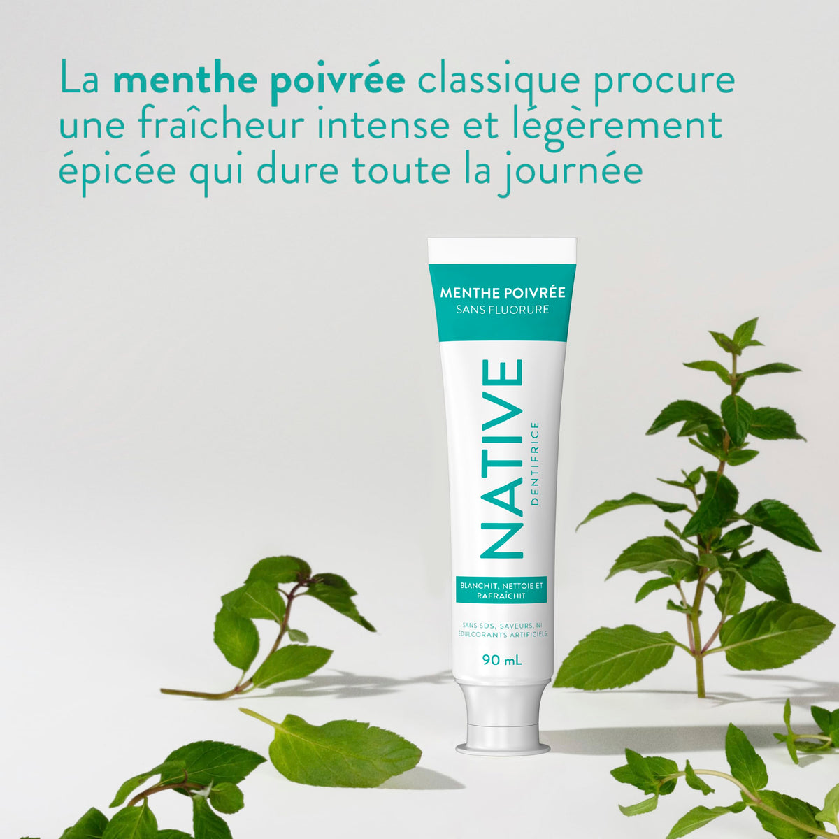 Native Fluoride Free Toothpaste, Peppermint Flavor, 90mL 3 Pack 🍁 All In One Marketplace Canada