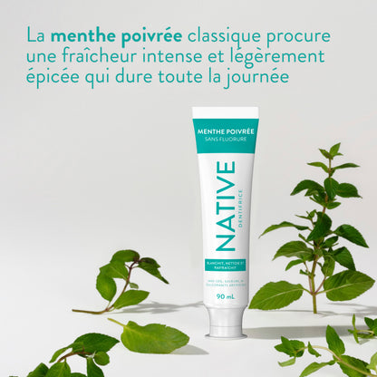 Native Fluoride Free Toothpaste, Peppermint Flavor, 90mL 3 Pack 🍁 All In One Marketplace Canada