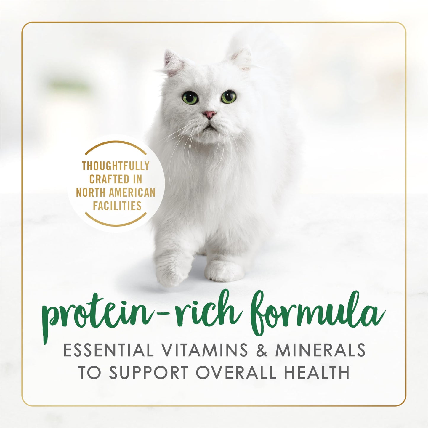 Fancy Feast Chunky Wet Cat Food, Chicken Feast - 85 g Can (24 Pack) 🍁 All In One Marketplace Canada