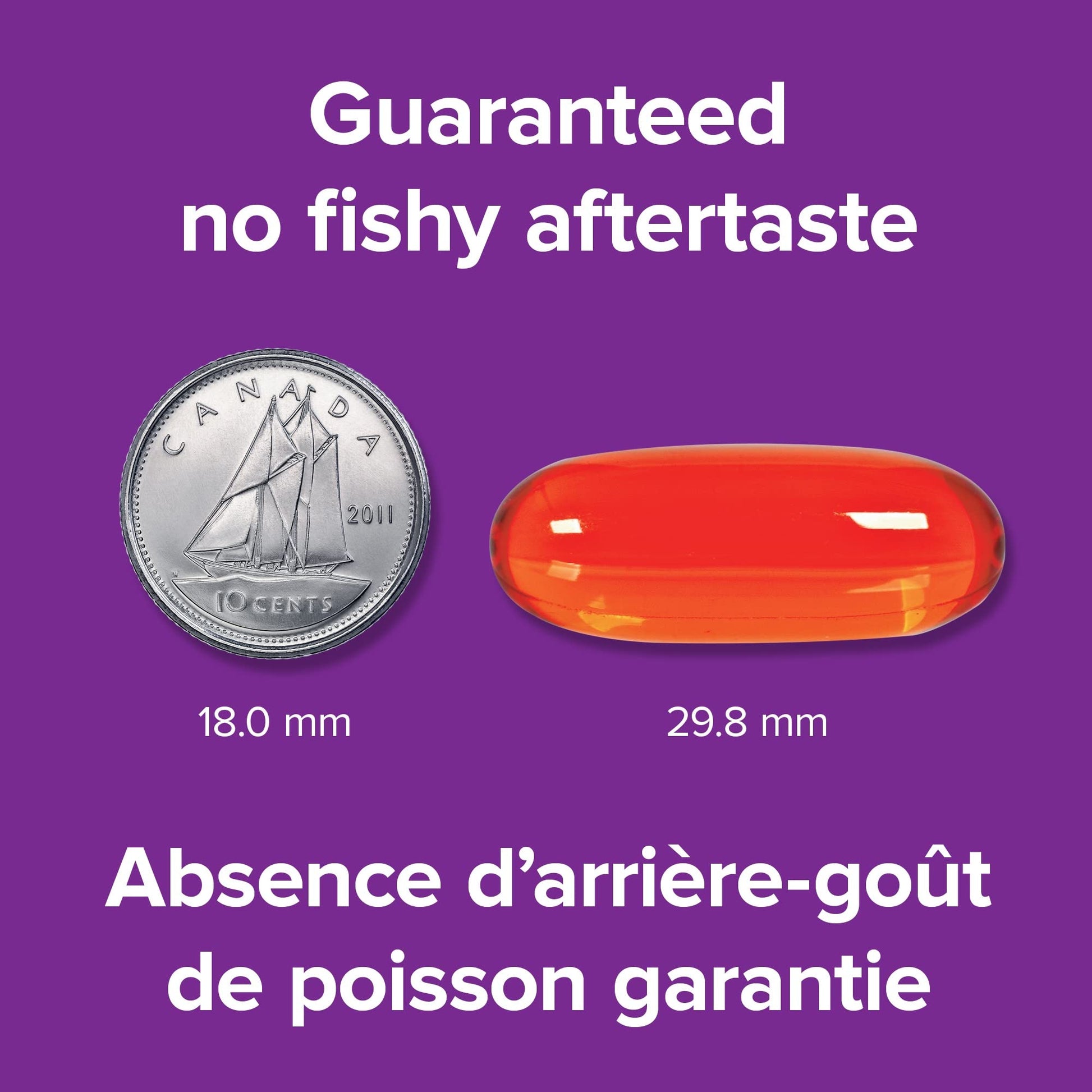 Webber Naturals Omega-3 with CoQ10, 80 Clear Enteric No Fishy Aftertaste Softgels, Supports Cardiovascular Health and Brain Function - Available at All In One Marketplace Canada