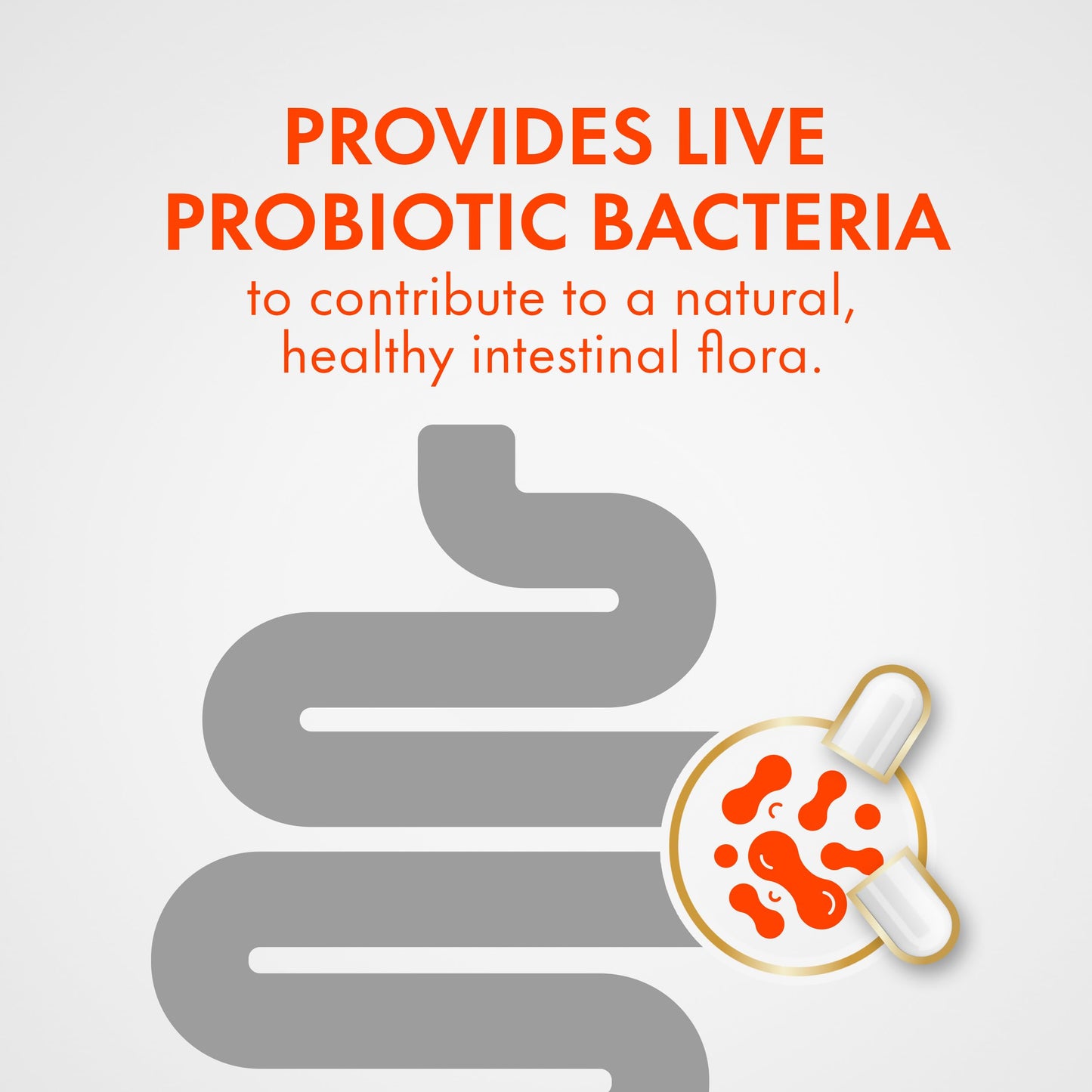 Align Probiotic Digestive Support, IBS Symptom Relief: Gas, Abdominal Discomfort, Bloating, Helps Healthy Intestinal Flora for Women & Men, 42 Capsules