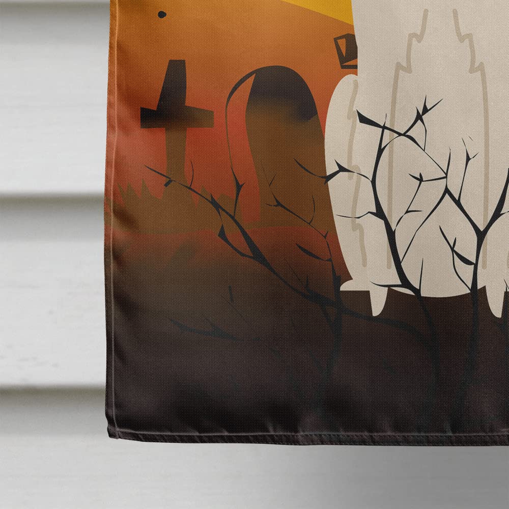 Caroline's Treasures BB4289CHF Halloween Borzoi Canvas House Size Flag, Large, Multicolor