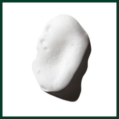 Aveda Phomollient Styling Foam | Weightless Mousse for Fine to Medium Hair, 200ml Aveda