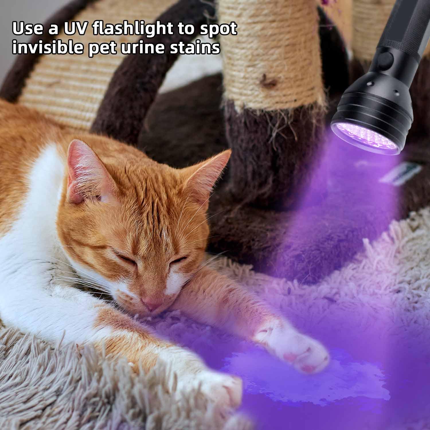 MegaPower (TM) UV Flashlight Black Light 12 LED 395nm Hand-held Detecting Torch for Pet Urine, Stains, Verifying Money Documents, Black - Available at All In One Marketplace Canada