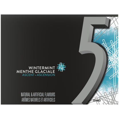 5 GUM, Wintermint-Ascent Flavoured Sugar Free Chewing Gum, 15 Sticks, 10 Packs - Available at All In One Marketplace Canada