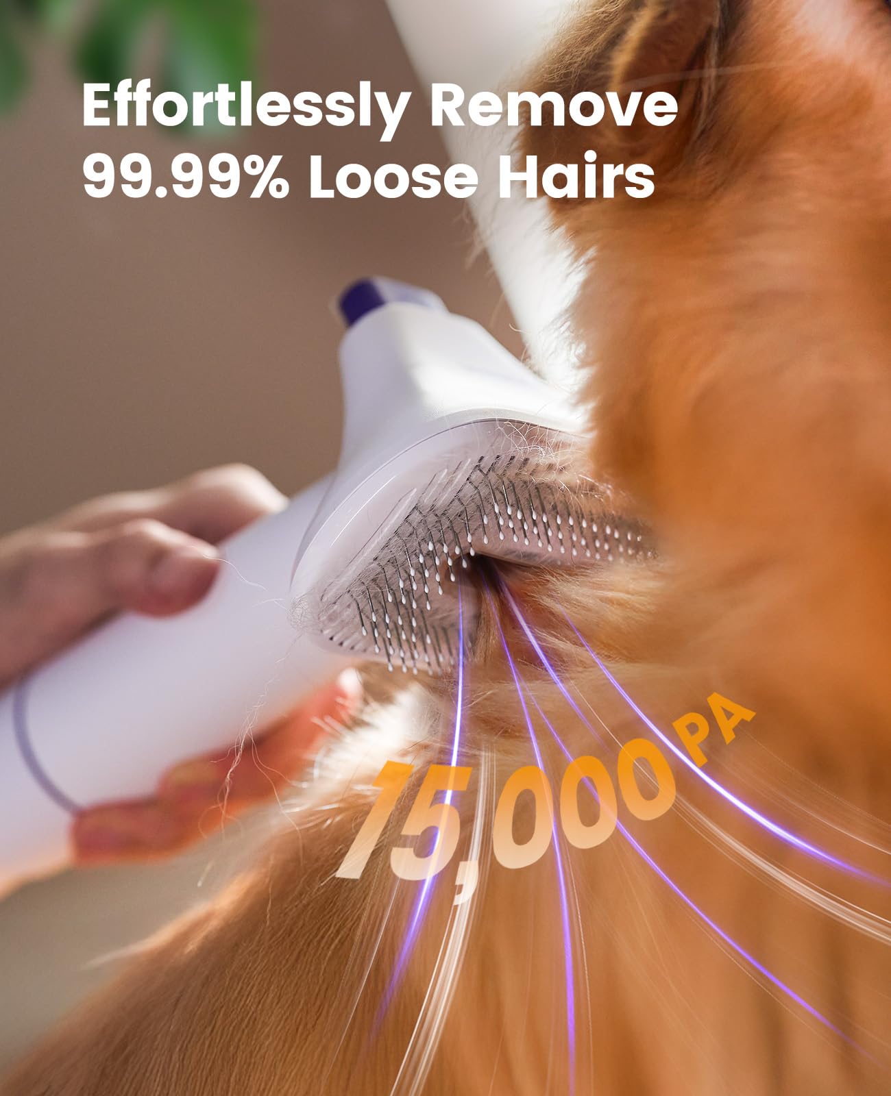 oneisall Dog Grooming Vacuum Kit: 15000Pa Shedding Brush with Grooming Tools, 3 Suction Low Noise, for Pet Thick and Undercoat, 1.5L Dust Cup, Dog Hair Vacuum, Home Cleaning, LM5 - Available at All In One Marketplace Canada