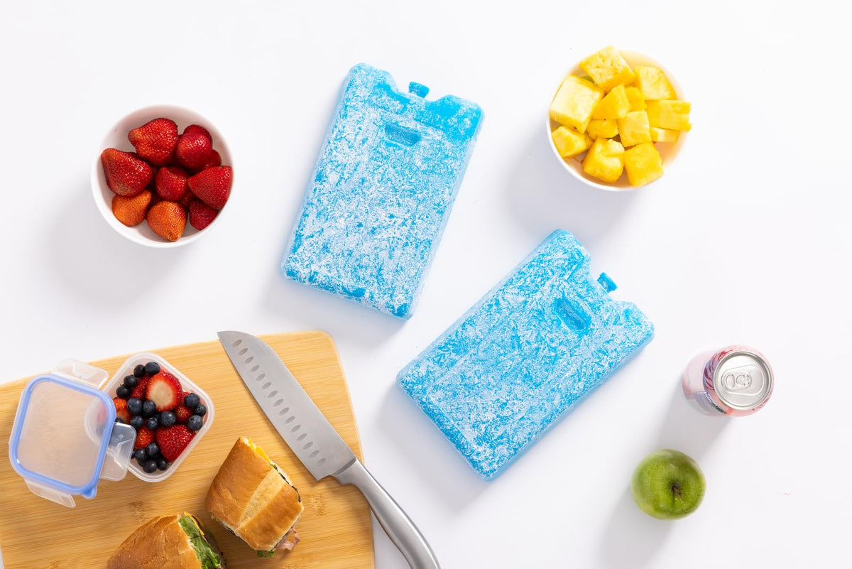 Igloo Maxcold Ice Block,2 Pieces, Ice Block