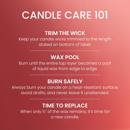Yankee Candle Large Jar Scented Candle with up to 150 Hour Burn Time, Premium Plant Wax Blend for Cleaner Consistent Burn and Room Filling Fragrance, 22 oz, Cliffside Sunrise 🍁 All In One Marketplace Canada