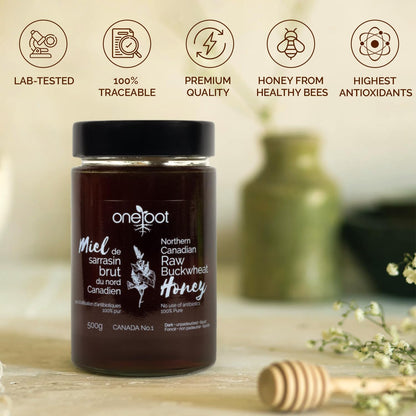 ONEROOT Canadian Raw Buckwheat Honey | Northern Ontario Harvest | Unpasteurized & Pure - Rich Antioxidant Content Exceeds Manuka | Certified Kosher (500g)