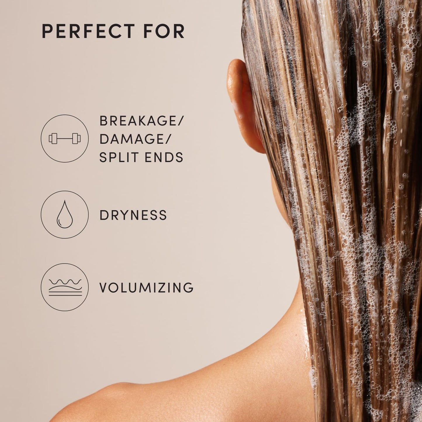 OUAI Fine Hair Shampoo - Biotin Thickening Shampoo for Flat, Thin Hair - Volumizing & Strengthening Keratin & Chia Seed Oil for Women & Men - Lightweight, Color-Safe, Sulfate Free, 10 Oz - Available at All In One Marketplace Canada