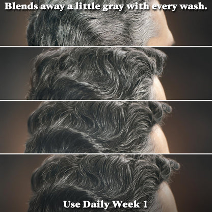 JUST FOR MEN Control GX Beard Wash, Gradually Reduces Grey (118 mL)