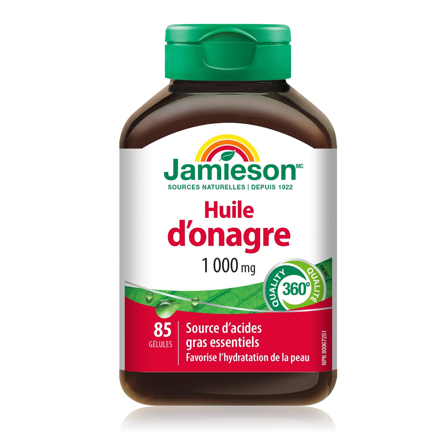 Jamieson Evening Primrose Oil 1,000 mg, Omega-6, Supports Skin Hydration, Skin Smoothness, Reduces Acne Symptoms, and Provides Ezcema Symptom Support. Non-GMO, Gluten-Free, 85 Softgels, Proudly Canadian - Available at All In One Marketplace Canada