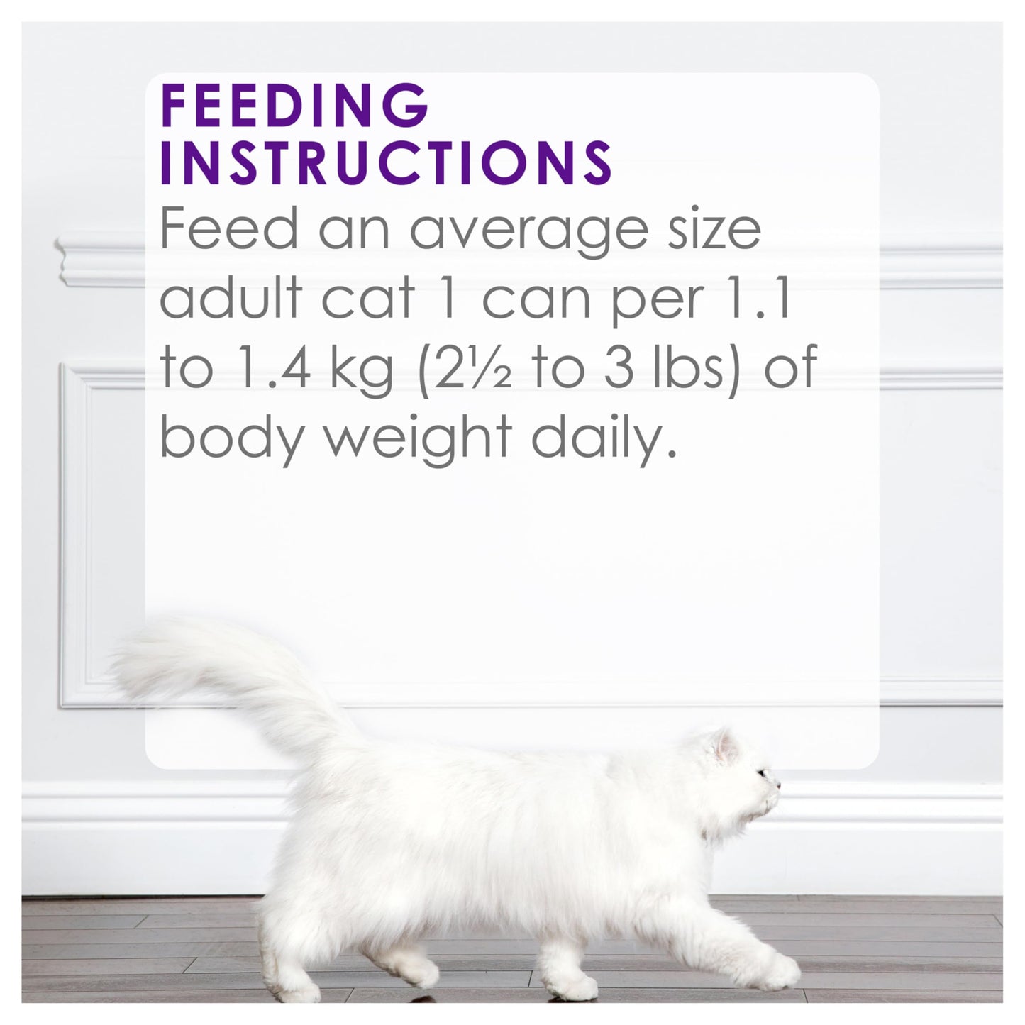 Fancy Feast Delights with Cheddar Wet Cat Food, Grilled Turkey & Cheddar Cheese Feast - 85 g Can (24 Pack) Fancy Feast