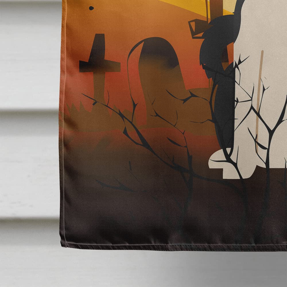 Drapeau de maison en toile Caroline's Treasures BB4295CHF Laïka russo-européen Spitz Halloween, grand, multicolore