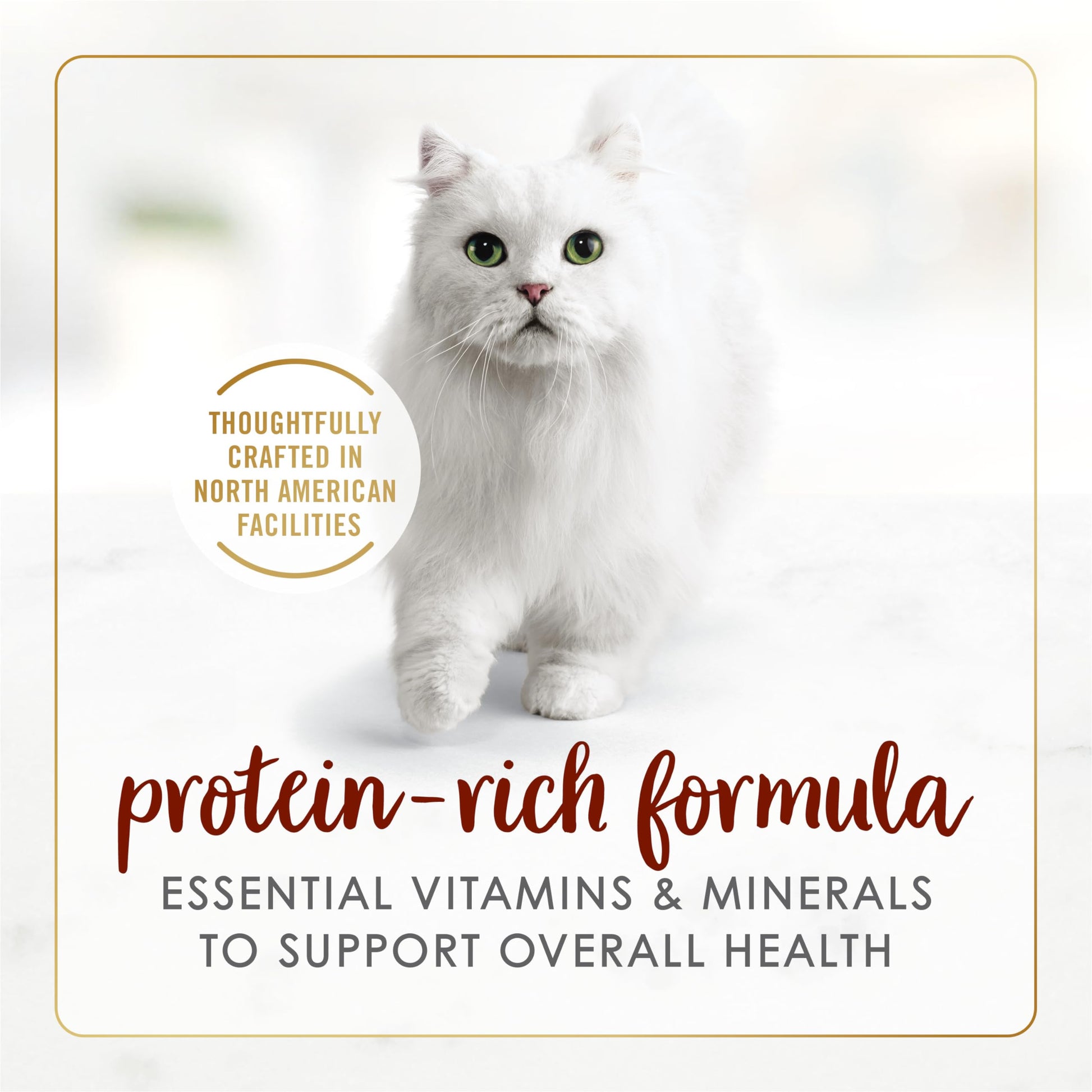 Fancy Feast Chunks Wet Cat Food, Beef Flavour in Gravy - 85 g Can (24 Pack) Fancy Feast