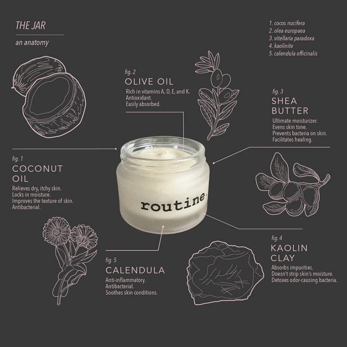 Routine. Natural Beauty | Natural Deodorant Jar | Johnny's Cash (Vegan: No Beeswax, Cedarwood, Pine, Bergamot & Patchouli) | 58g, Aluminum Free Natural Deodorant for Women & Men (Cream Jar formula)