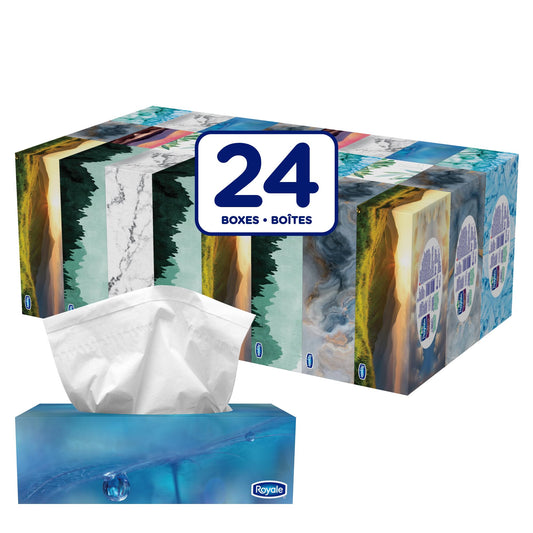 Royale Velour 3 Ply Facial Tissue, 24 Tissue Boxes, 72 Tissues per Box
