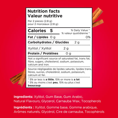 PUR Gum, Cinnamon, Xylitol Gum, No Artificial flavour, 330 Count (6x55)