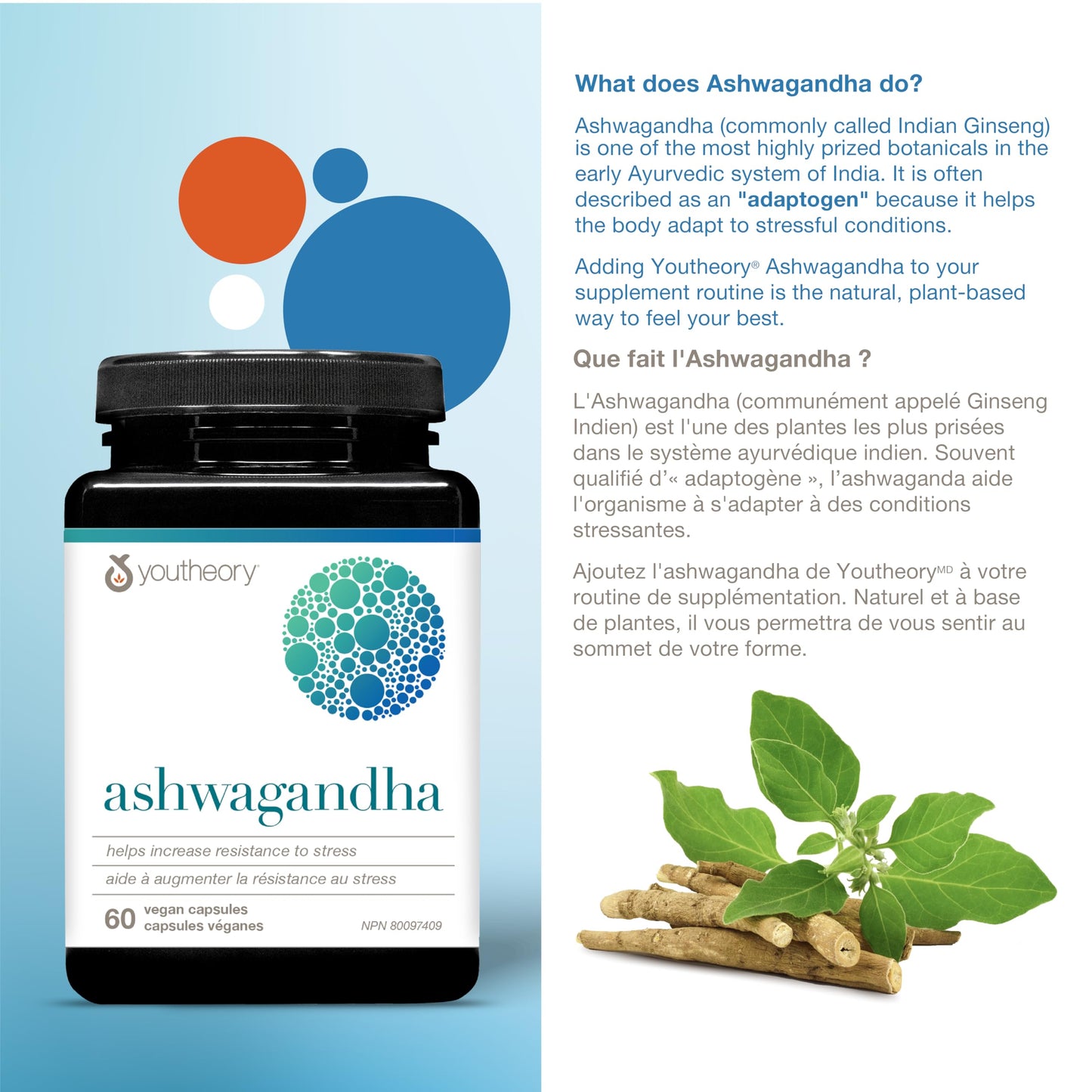 Youtheory Ashwagandha 7,200 mg Per Serving, with Clinically Proven KSM-66 and GingeverGinger to Support the Efficacy of Ashwagandha. Helps Increase Resistance to Stress and Anxiety, Vegan, 60 Capsules - Available at All In One Marketplace Canada