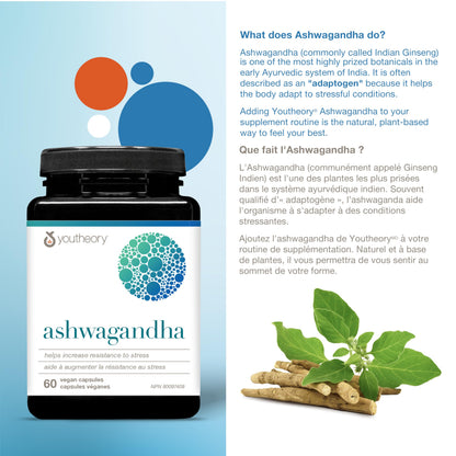 Youtheory Ashwagandha 7,200 mg Per Serving, with Clinically Proven KSM-66 and GingeverGinger to Support the Efficacy of Ashwagandha. Helps Increase Resistance to Stress and Anxiety, Vegan, 60 Capsules - Available at All In One Marketplace Canada
