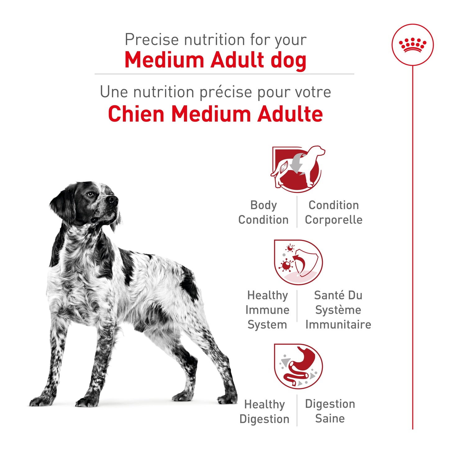 Royal Canin Size Health Nutrition Medium Adult Dry Dog Food, 4 lb ROYAL CANIN