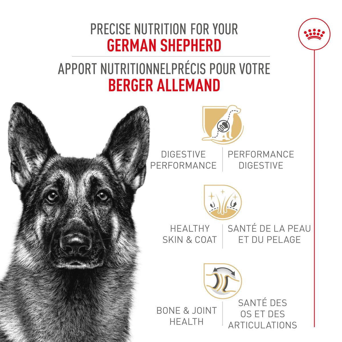 Royal Canin German Shepherd Adult Dry Dog Food, 30 lb bag