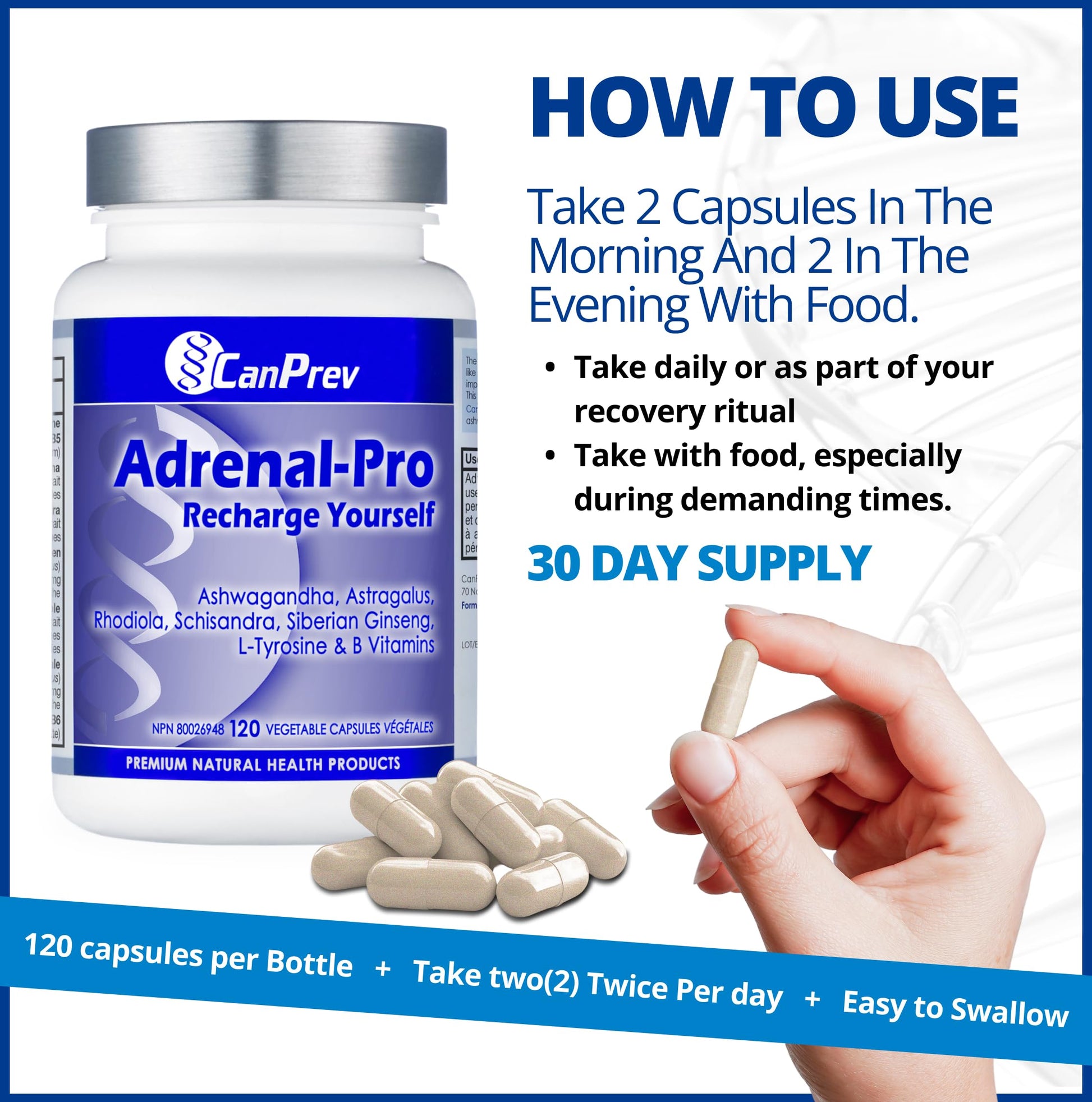 CanPrev Adrenal-Pro Recharge Yourself, 120 Vegan V-Caps with Siberian Ginseng, 30-Day Supply with Ashwagandha, Astragalus, L-Tyrosine, B5 & B6 - Supports Energy Levels, Physical and Mental Vitality - Available at All In One Marketplace Canada
