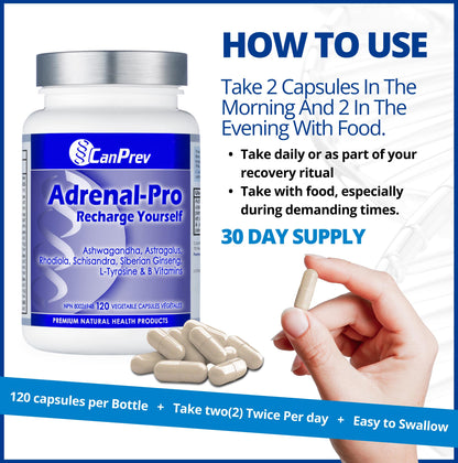 CanPrev Adrenal-Pro Recharge Yourself, 120 Vegan V-Caps with Siberian Ginseng, 30-Day Supply with Ashwagandha, Astragalus, L-Tyrosine, B5 & B6 - Supports Energy Levels, Physical and Mental Vitality - Available at All In One Marketplace Canada