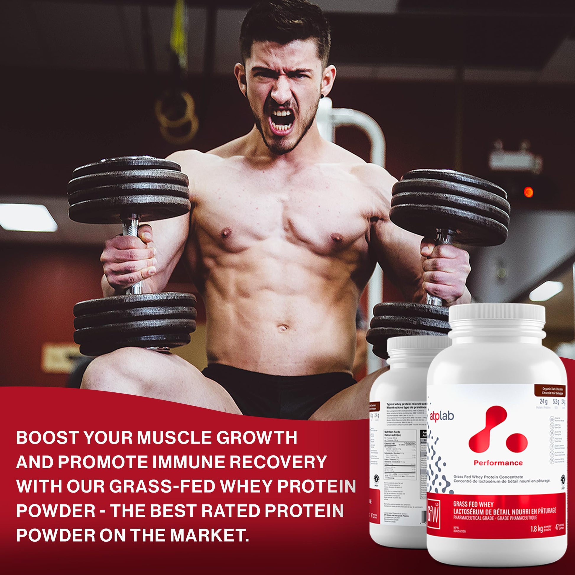 ATP LAB Grass Fed Whey Protein Concentrate - Organic Dark Chocolate - 1.8kg (47 Servings)
