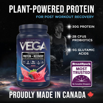 Vega Protein + Recovery, Berry – 30g Vegan Protein, Dairy & Gluten Free, Probiotics, NSF Certified, 801 g (19 Servings) 🍁 All In One Marketplace Canada