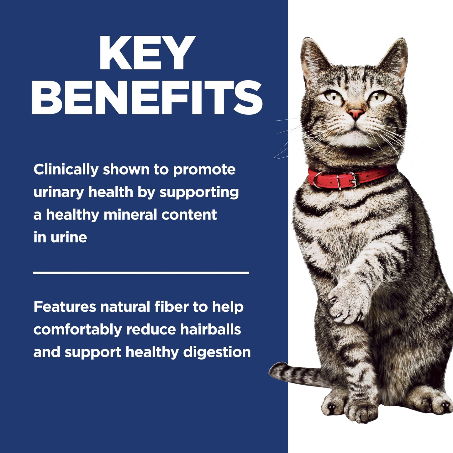 Hill's Science Diet Adult Urinary & Hairball Control Chicken Recipe Dry Cat Food 7.03 kg Bag