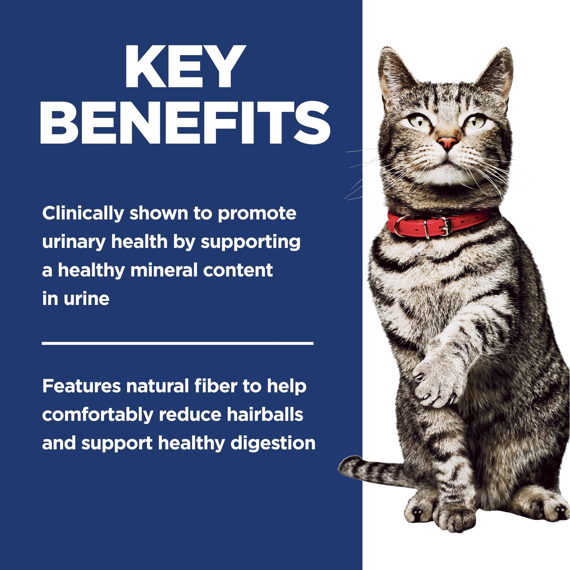 Hill's Science Diet Adult Urinary & Hairball Control Chicken Recipe Dry Cat Food 3.17 kg Bag - Available at All In One Marketplace Canada