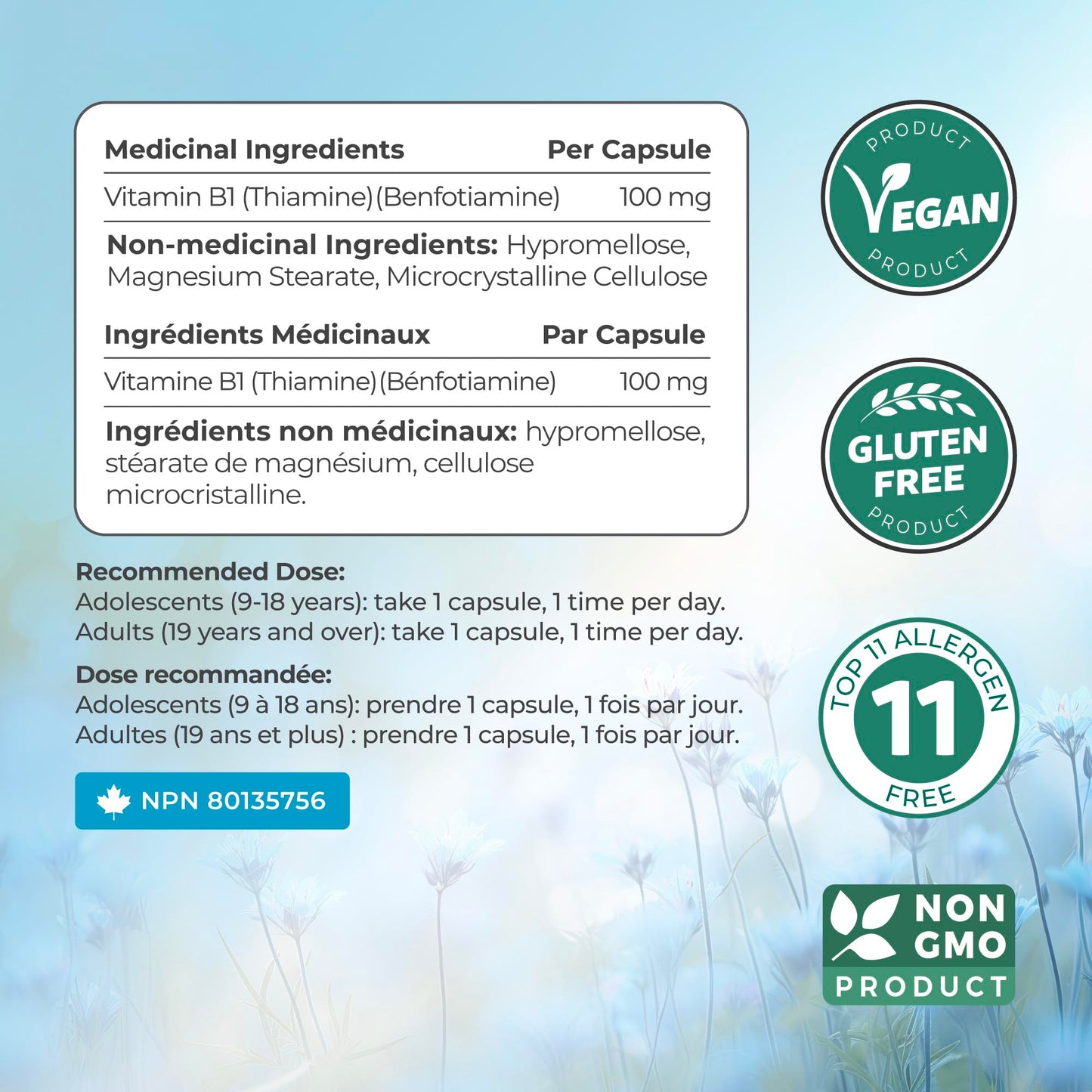Vitamin B1 Benfotiamine 100mg - High Absorption Energy & Metabolism Support - Highly Bioavailable Thiamine B1 Supplement to Support Energy Production & Metabolism - Made in Canada, Non-GMO - 120 Ct - Available at All In One Marketplace Canada