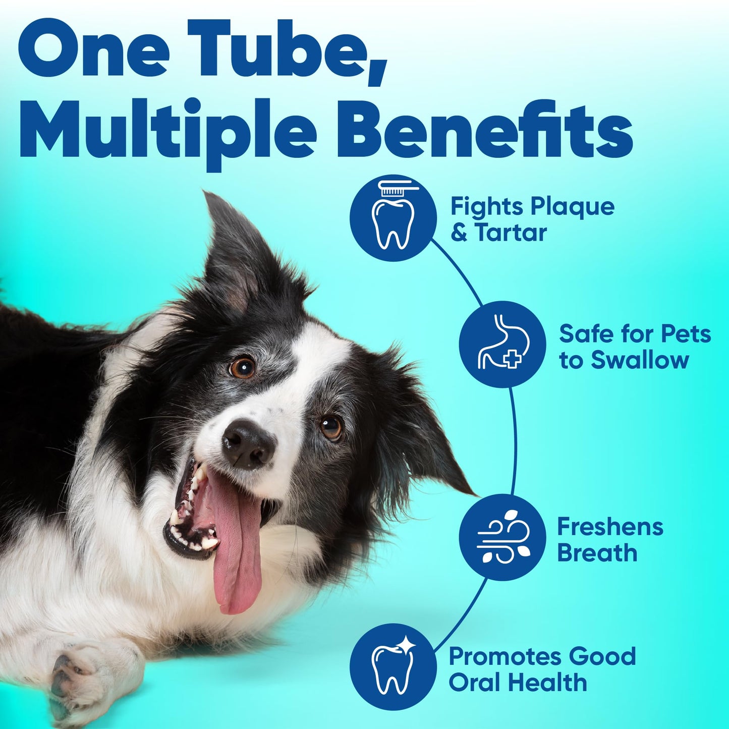 Virbac Enzymatic Toothpaste, 2.5 Ounce, Vanilla-Mint Flavor, 1 pack 🍁 All In One Marketplace Canada