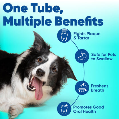 Virbac Enzymatic Toothpaste, 2.5 Ounce, Vanilla-Mint Flavor, 1 pack 🍁 All In One Marketplace Canada