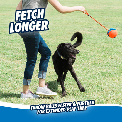 CHUCKIT! 32220 Pet Supplies Dog Toys Chuckit!