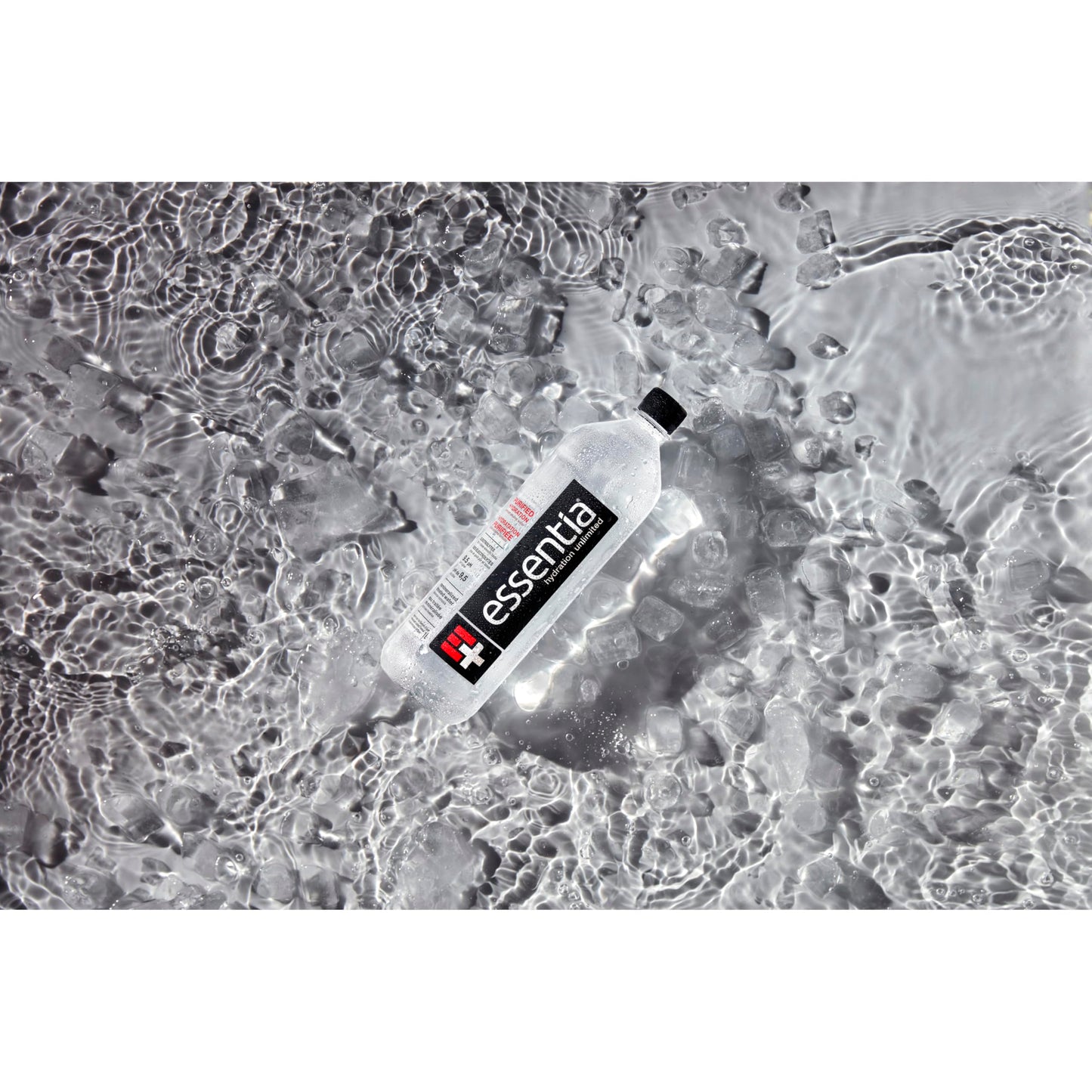 Essentia Ionized Alkaline Water 9.5 pH - Electrolyte Enhanced Purified Hydration, 12 Pack of 1L Bottles