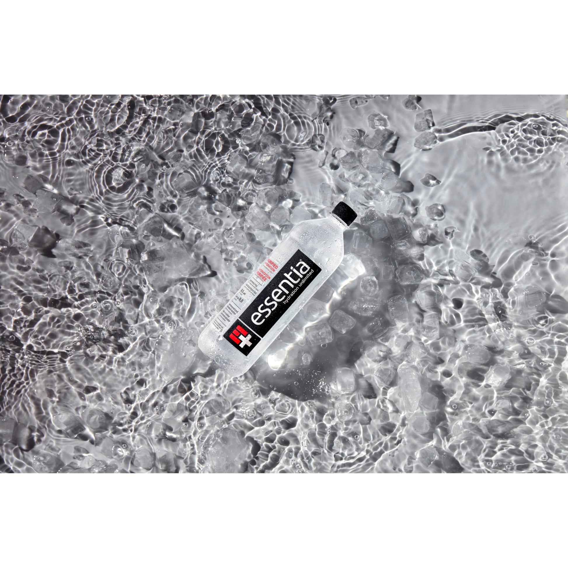 Essentia Ionized Alkaline Water 9.5 pH - Electrolyte Enhanced Purified Hydration, 12 Pack of 1L Bottles