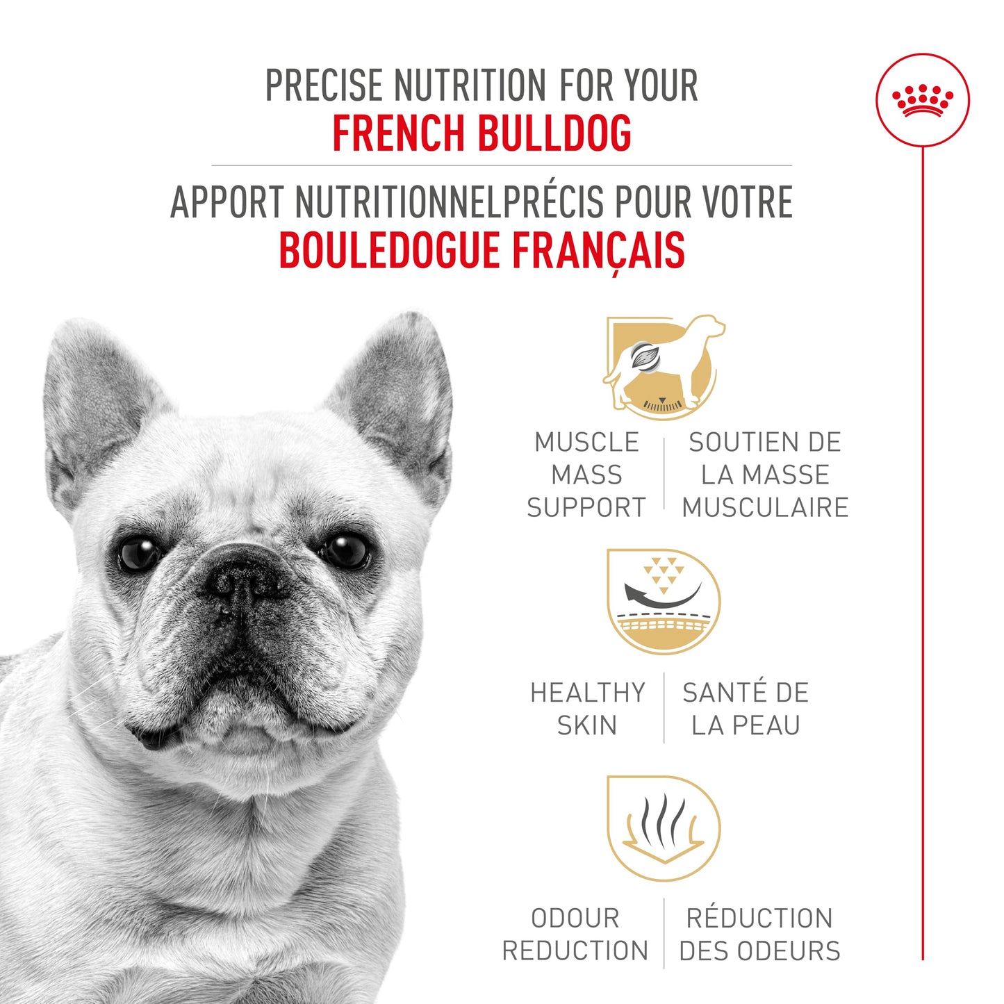 Royal Canin Breed Health Nutrition French Bulldog Adult: Dry Dog Food, 17 lb bag ROYAL CANIN