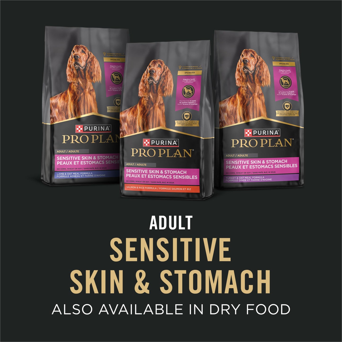 Purina Pro Plan Sensitive Skin & Stomach Wet Dog Food, Salmon & Rice - 368 g Can (12 Pack) 🍁 All In One Marketplace Canada