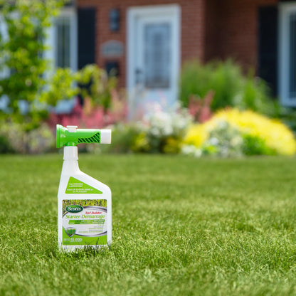Scotts® Liquid Turf Builder® Starter Fertilizer 7-12-15 946ML/55m2 🍁 All In One Marketplace Canada