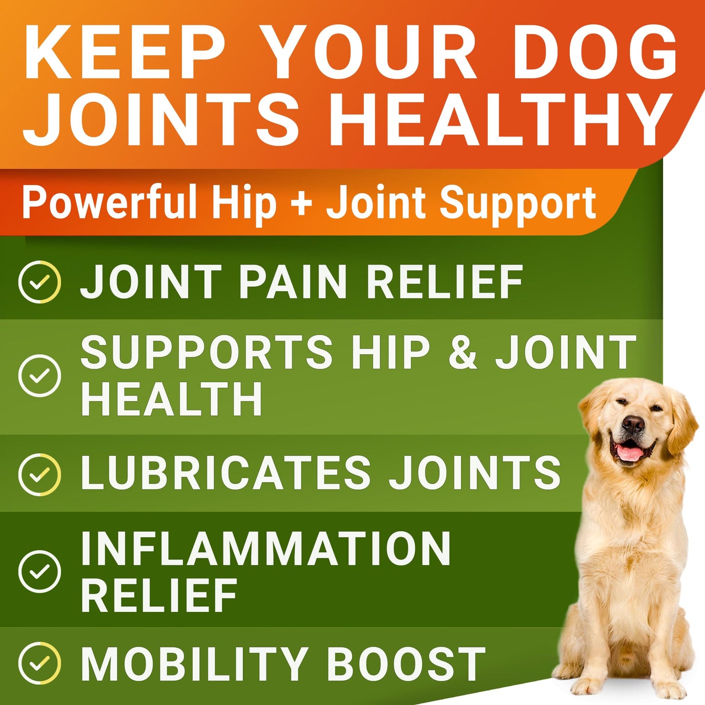 Glucosamine for Dogs w/Chondroitin - Hip & Joint Supplement for Dogs - MSM, Omega to Improve Mobility & Energy - Natural Joint Pain Relief - 120 Chews (Chicken)