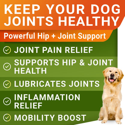 Glucosamine for Dogs w/Chondroitin - Hip & Joint Supplement for Dogs - MSM, Omega to Improve Mobility & Energy - Natural Joint Pain Relief - 120 Chews (Chicken)