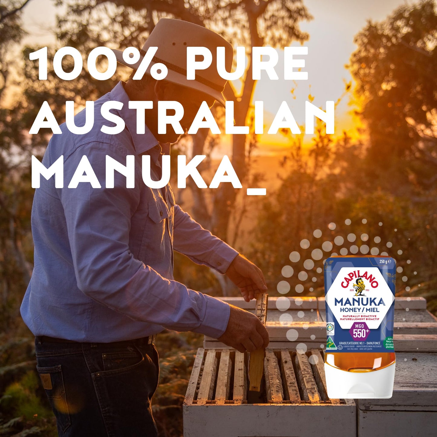 Capilano Active Manuka Honey MGO550+ – 250g Pure Australian Premium