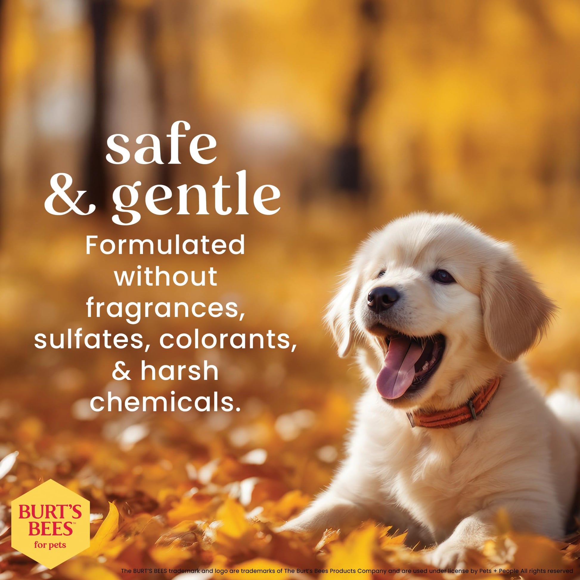 Burt's Bees for Puppies Natural Tearless 2 in 1 Shampoo and Conditioner | Made with Buttermilk and Linseed Oil | Best Tearless Puppy Shampoo for Gentle Skin and Coat | Made in USA, 16 Oz