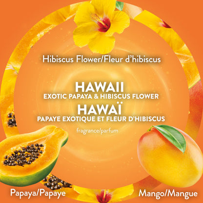 Air Wick Plug In Scented Oil Air Freshener Refills for Home – Infused with Essential Oils – 10 Count – Hawaii Tropical Paradise Scent – Mega Value Pack 🍁 All In One Marketplace Canada